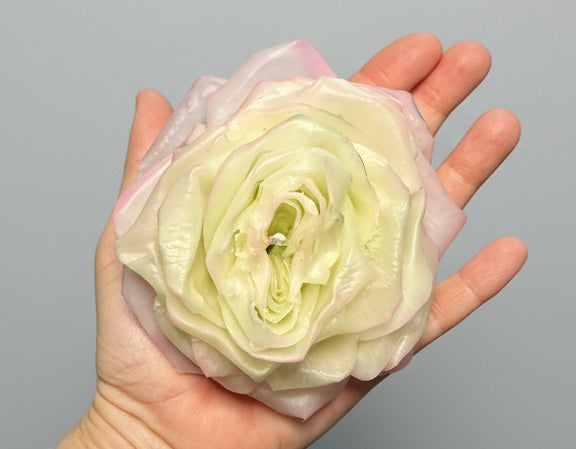 FIOR DI ROSA