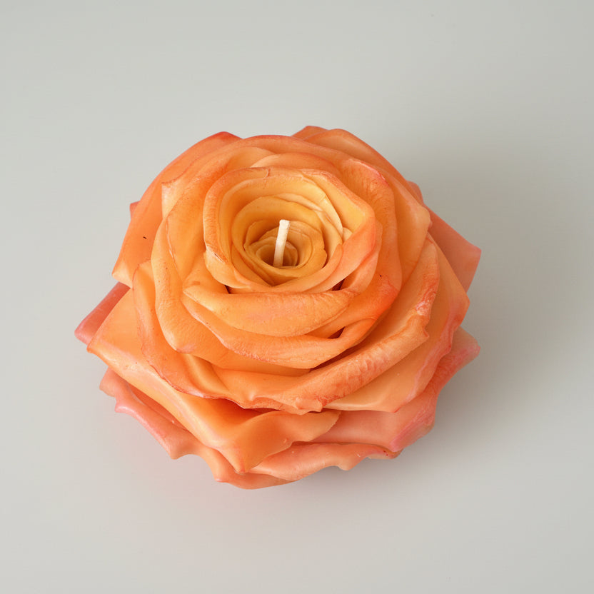 FIOR DI ROSA
