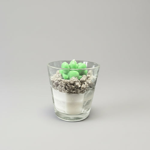 BICCHIERE SUCCULENTO