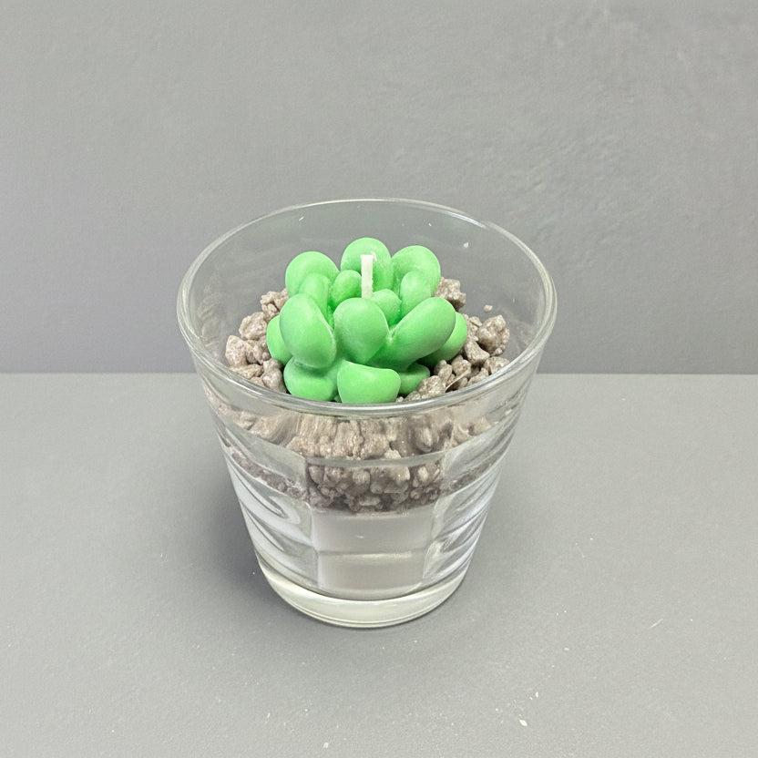 BICCHIERE SUCCULENTO