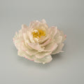 FIOR DI PEONIA